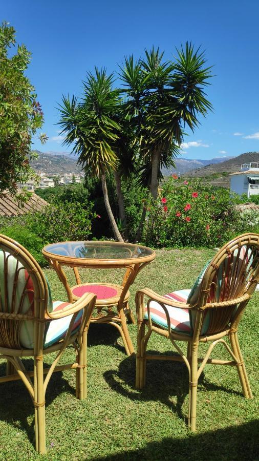 Enjoy Torrox